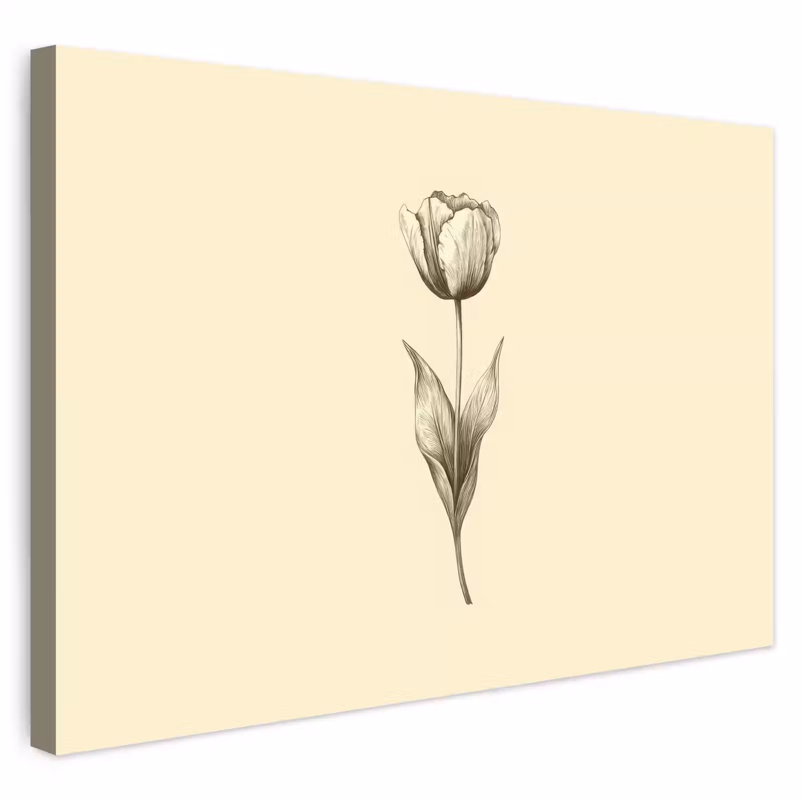 Buiten canvas - Illustratie - Tulp - Zwart — 1