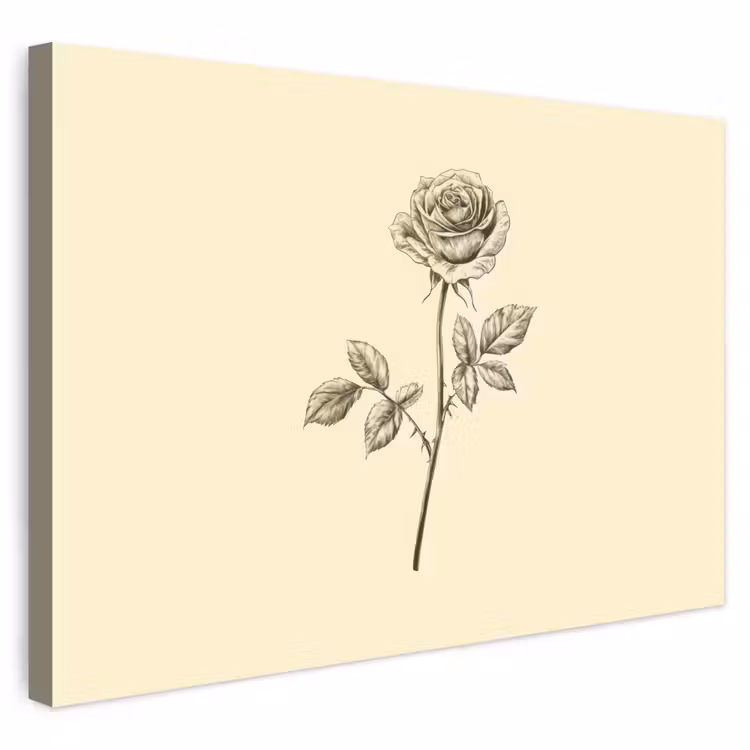 Buiten canvas - Illustratie - Zwart - Roos — 1
