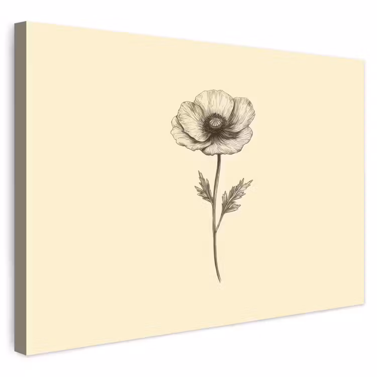 Buiten canvas - Klaproos - Illustratie - Zwart — 1