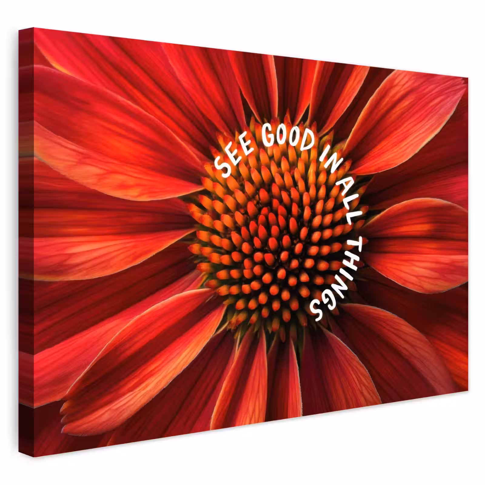 Buiten canvas - Close up - Bloem - Quote - Rood — 1