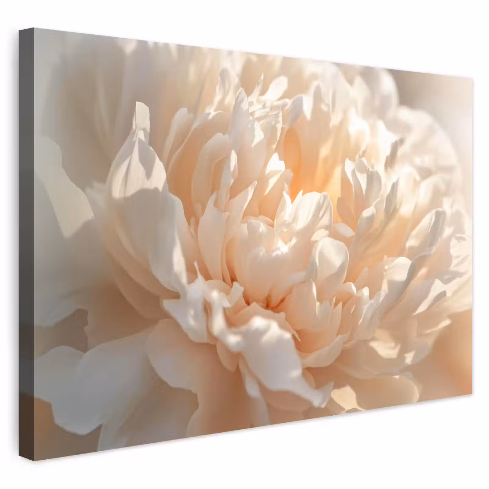 Buiten canvas - Close up - Pioenroos - Lichtroze — 1