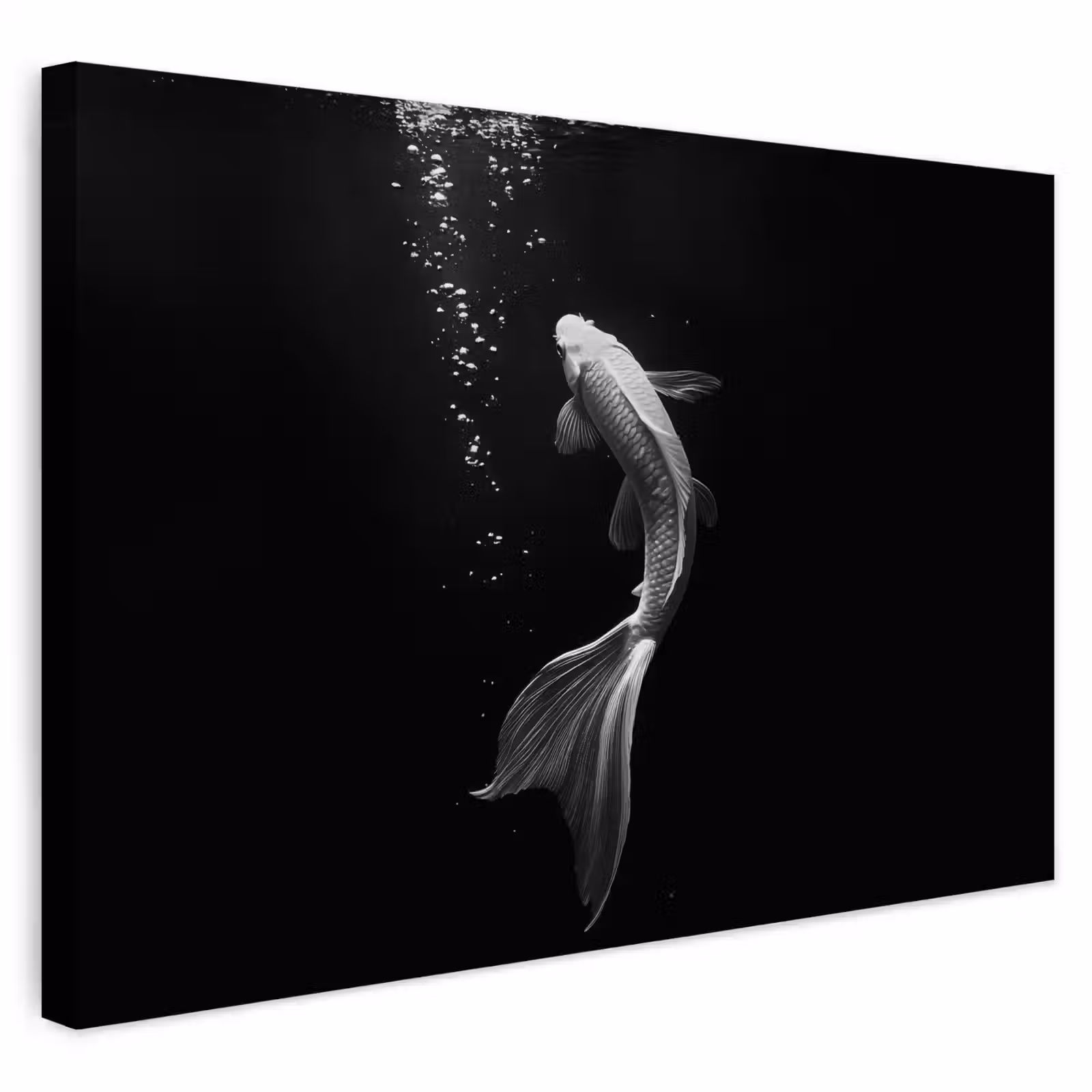 Buiten canvas - Koi - Vis - Wit - Zwart — 1