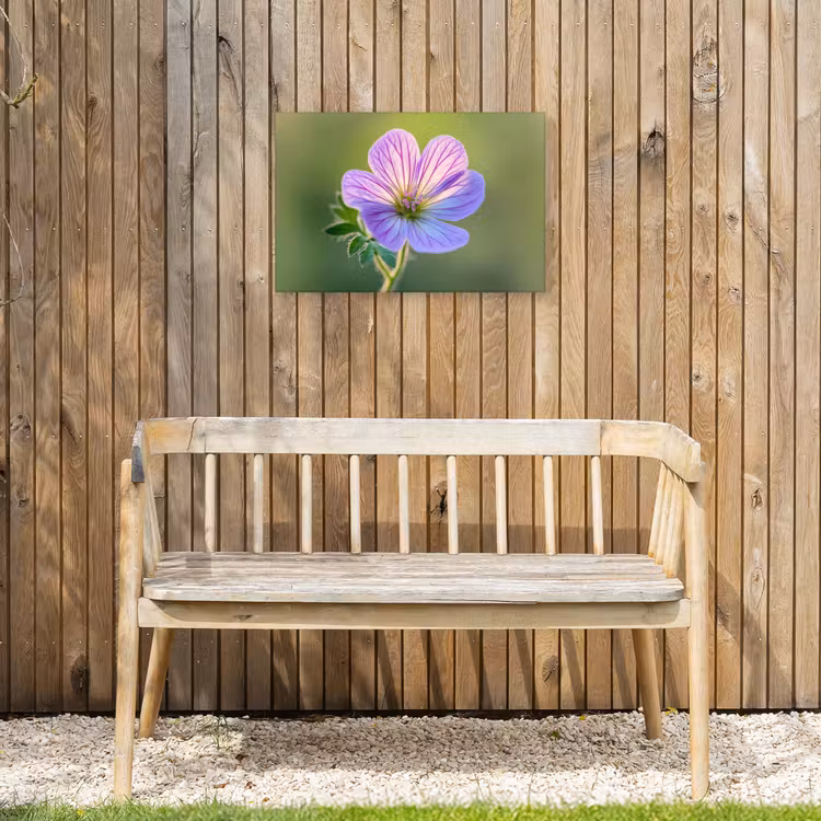 Buiten canvas - Bloem - Close up - Paars — 3