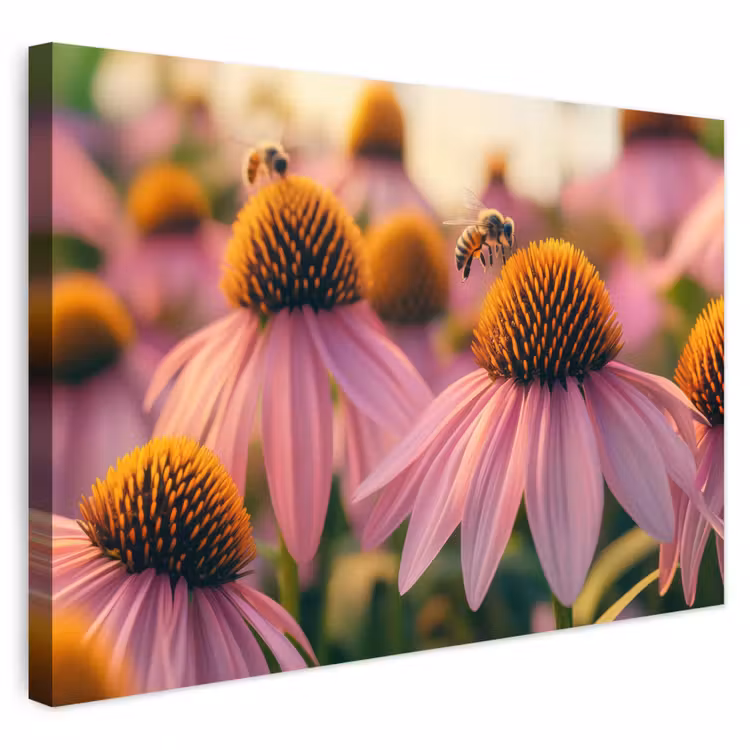 Buiten canvas - Bloemen - Paars - Bijen — 1