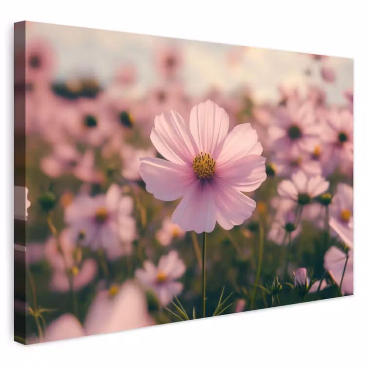 Buiten canvas - Bloemen - Paars - Wazig — 1