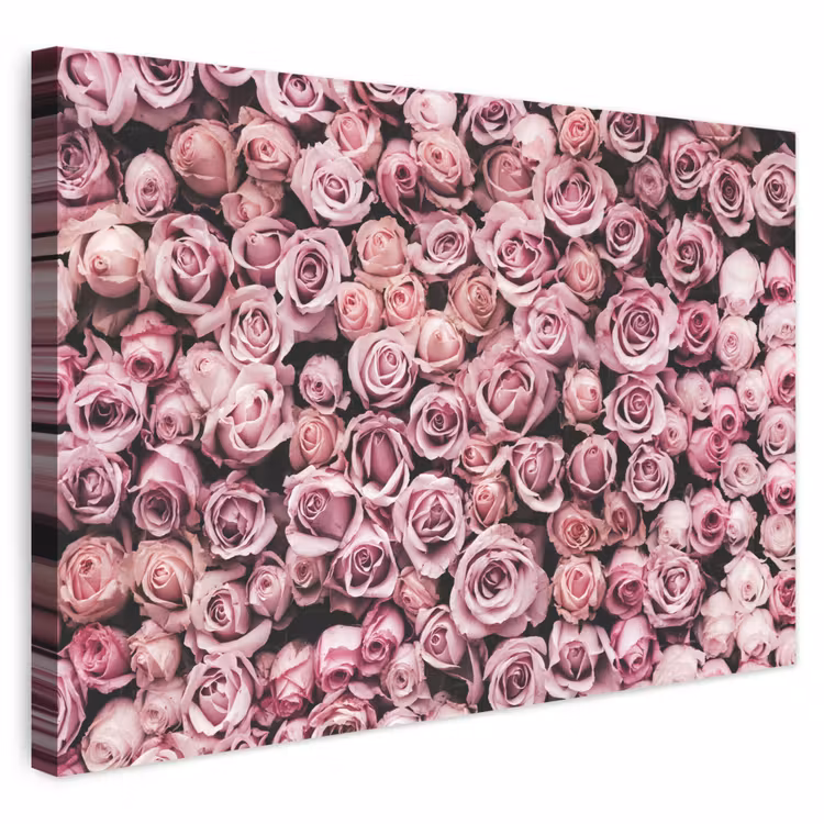Buiten canvas - Bloemen - Rozen - Natuur - Roze - Botanisch — 1