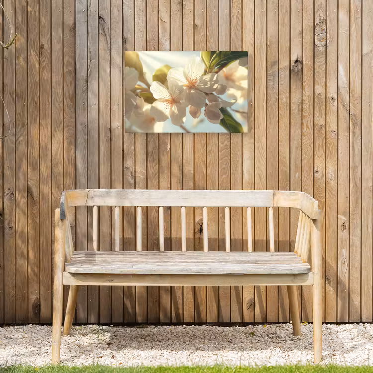 Buiten canvas - Bloesems - Wit - Zonnestralen - Bloemblaadjes — 3