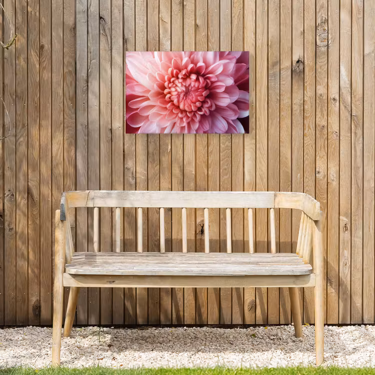 Buiten canvas - Dahlia - Bloem - Close up - Roze — 3