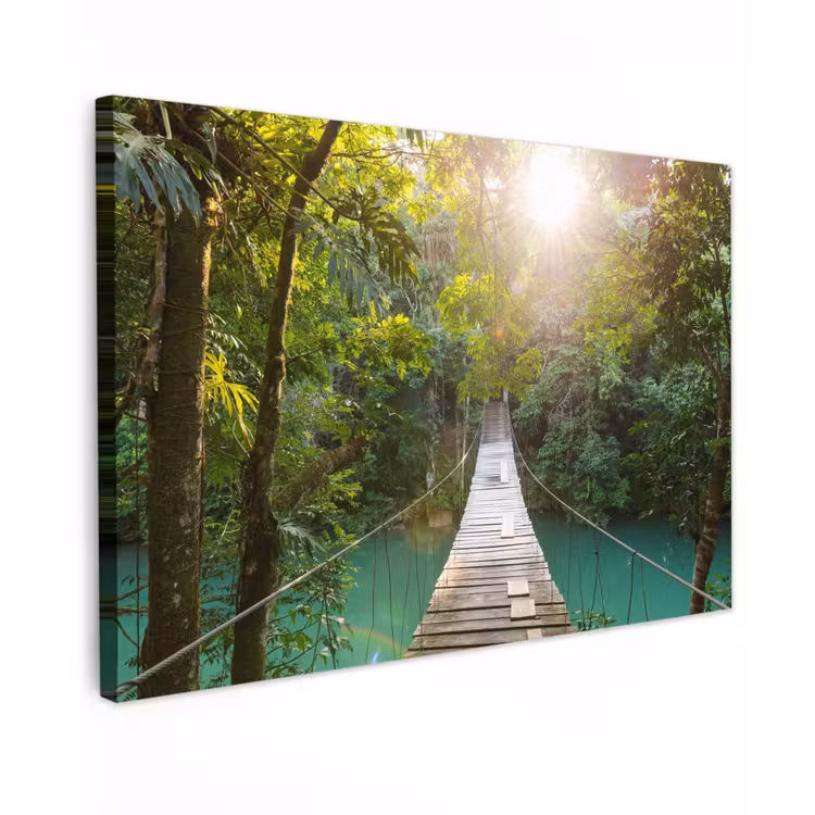 Buiten canvas - Hangbrug in het Regenwoud — 1