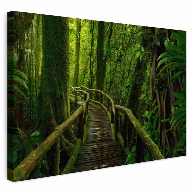 Buiten canvas - Jungle - Brug - Mos - Natuur - Tropisch — 1