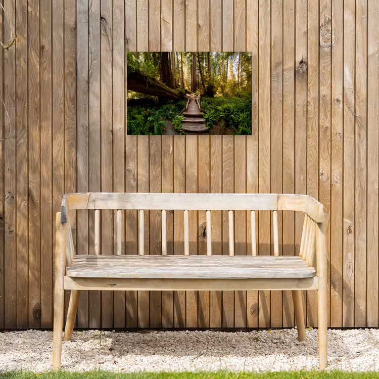 Buiten canvas - Jungle - Natuur - Trap - Bomen — 3