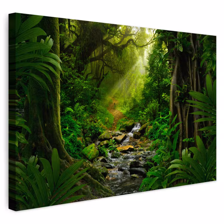 Buiten canvas - Jungle - Water - Bladeren - Zon - Natuur — 1