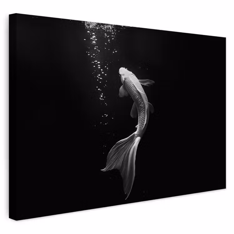 Buiten canvas - Koi - Vis - Wit - Zwart — 1