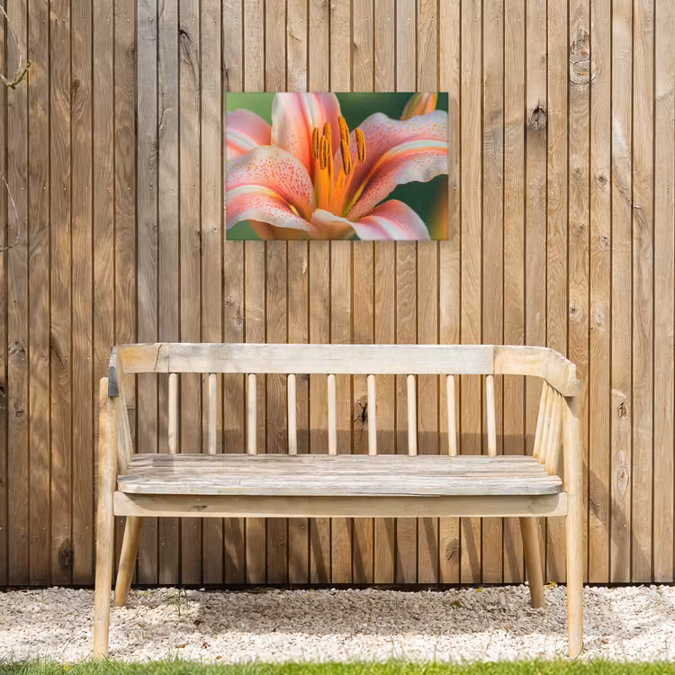 Buiten canvas - Lelie - Close up - Lichtroze — 3