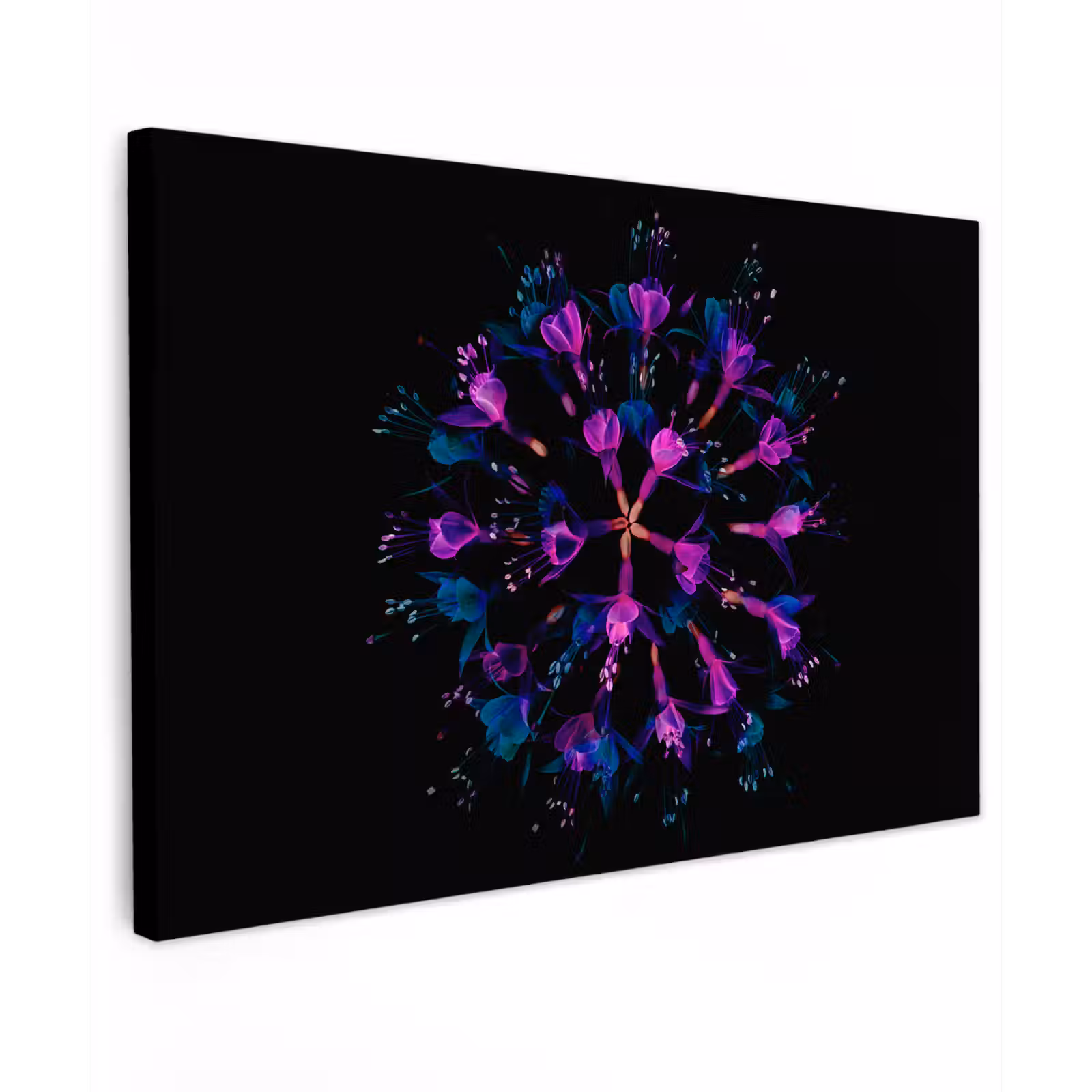 Buiten canvas - Bloem - Paars - Blauw - Macro - Zwart — 1