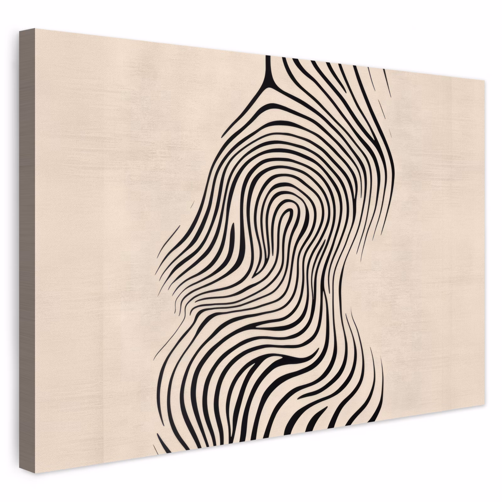 Buiten canvas - Lijnen - Abstract - Golvend - Zwart — 1
