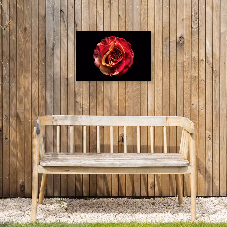 Buiten canvas - Bloem - Roos - Rood - Zwart — 3