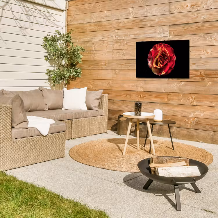 Buiten canvas - Bloem - Roos - Rood - Zwart — 5