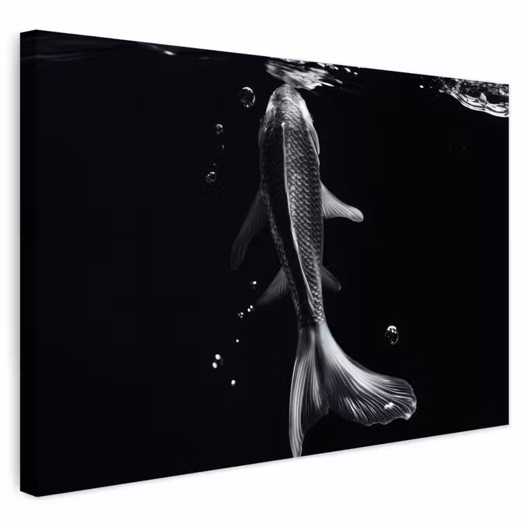Buiten canvas - Koi - Vissen - Water - Zwart — 1