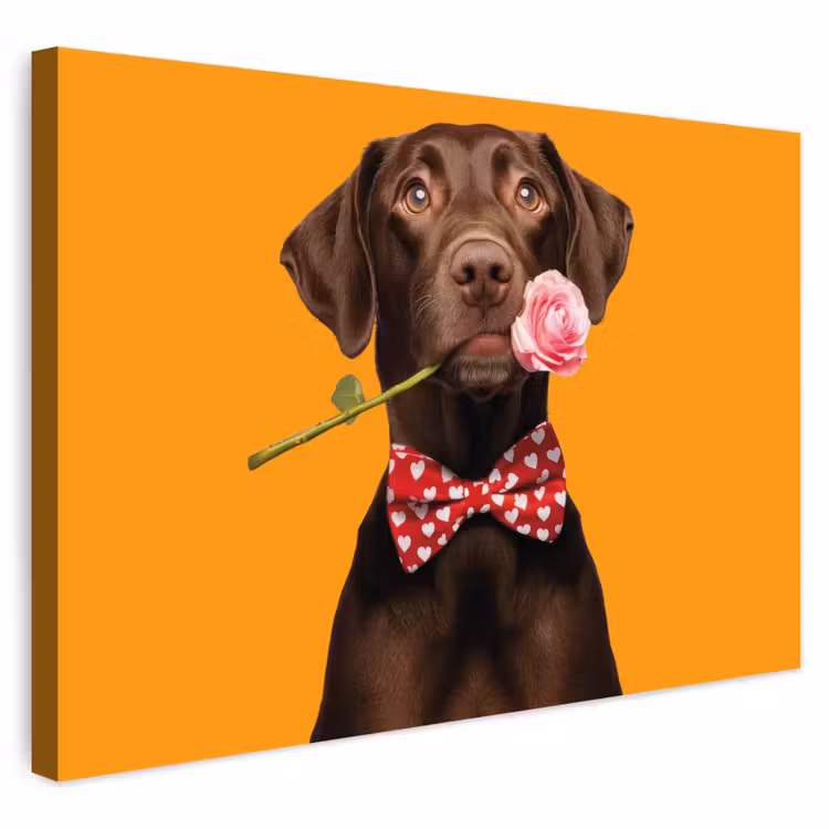 Buiten canvas - Hond - Oranje - Roos - Valentijn — 1