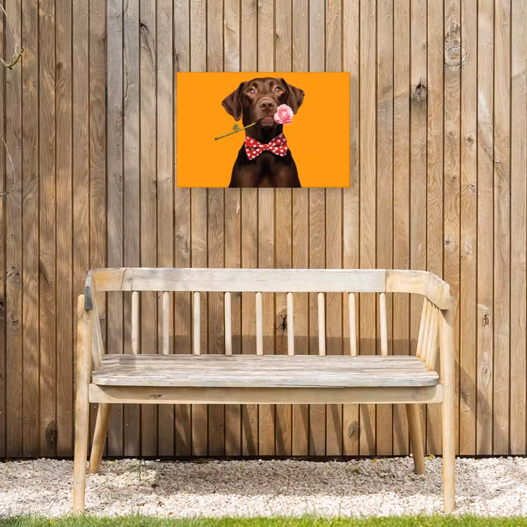 Buiten canvas - Hond - Oranje - Roos - Valentijn — 3