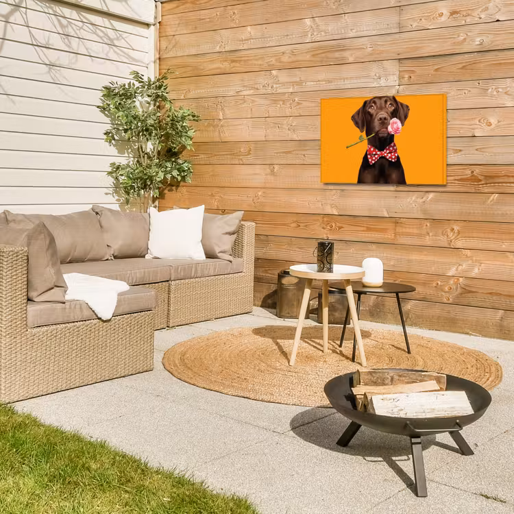 Buiten canvas - Hond - Oranje - Roos - Valentijn — 5
