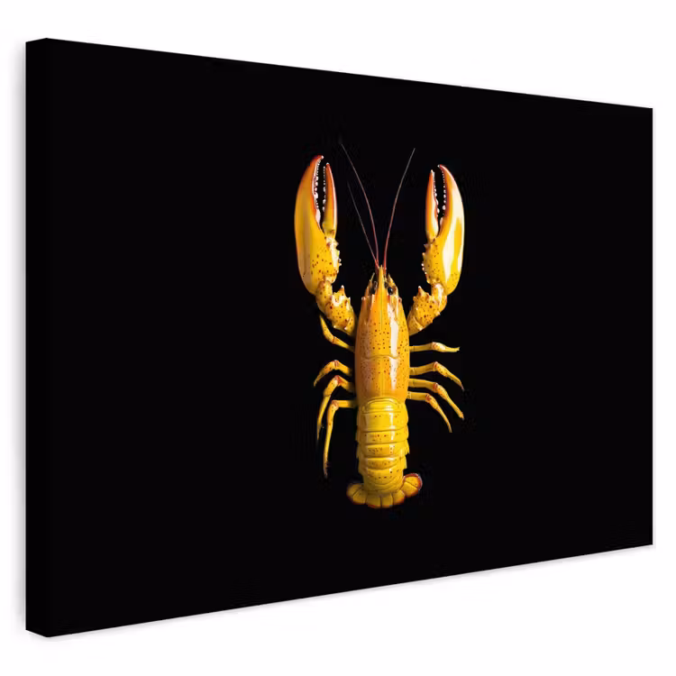 Buiten canvas - Kreeft - Geel - Stippen - Effen — 1