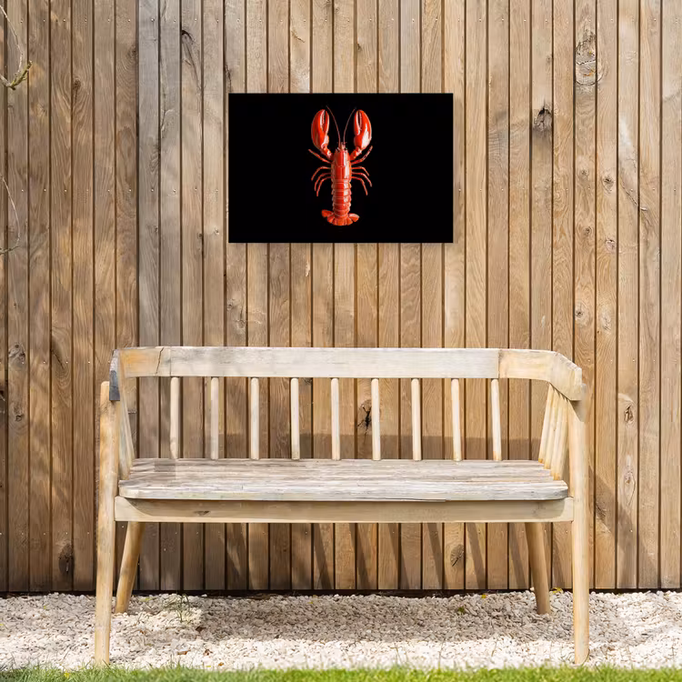 Buiten canvas - Kreeft - Glossier Rood - Zwart — 3