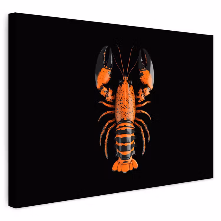 Buiten canvas - Kreeft - Oranje - Zwart - Modern — 1