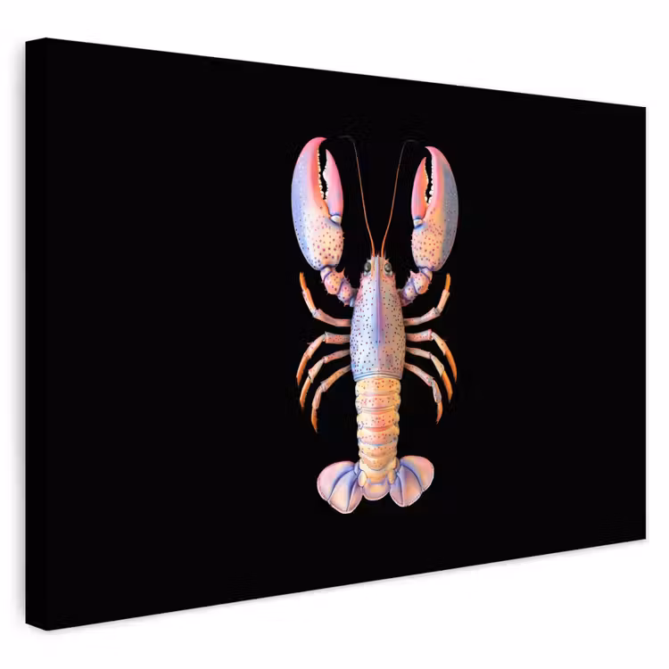 Buiten canvas - Kreeft - Roze - Zacht - Zwart — 1