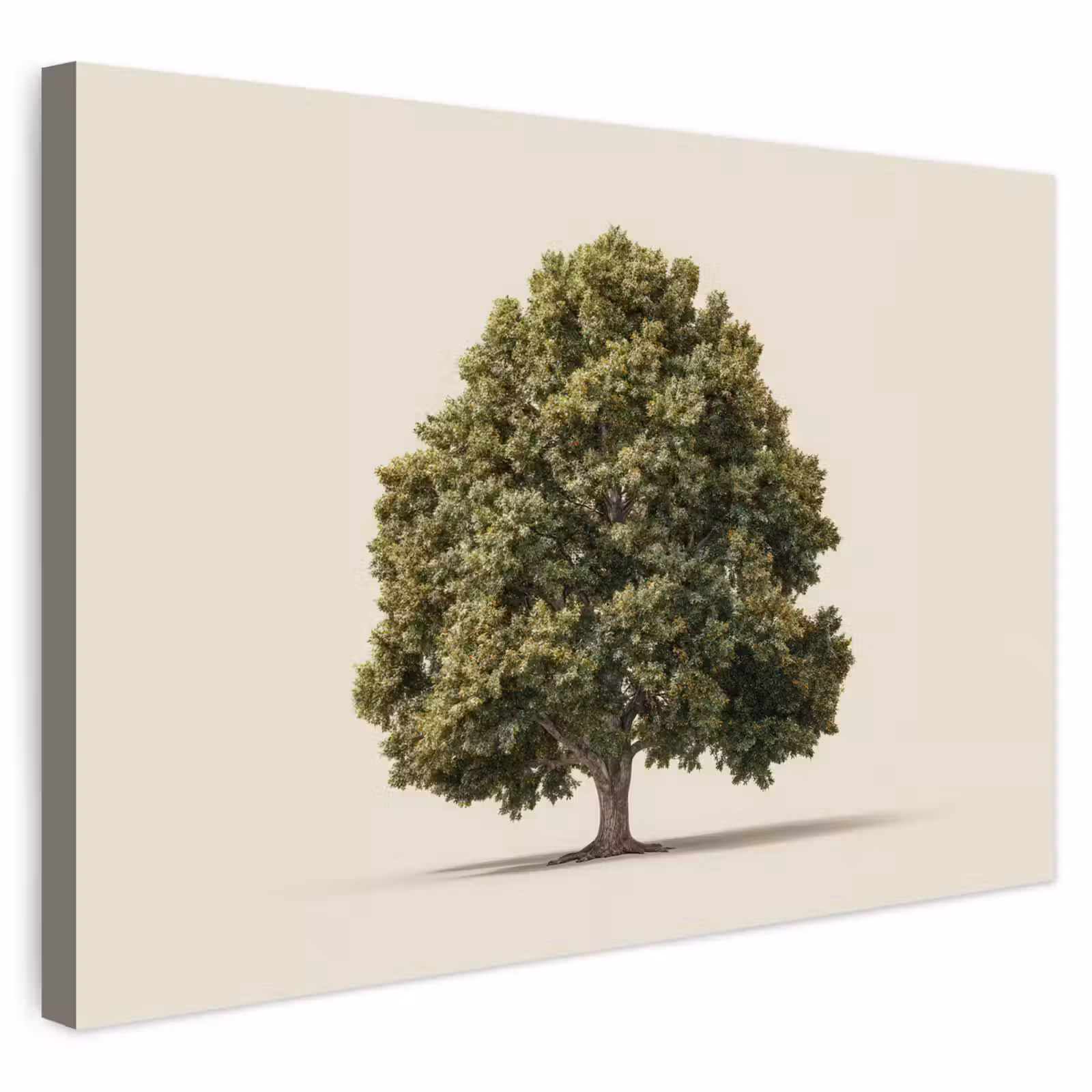 Buiten canvas - Eikenboom - Groen - Lichte achtergrond — 1