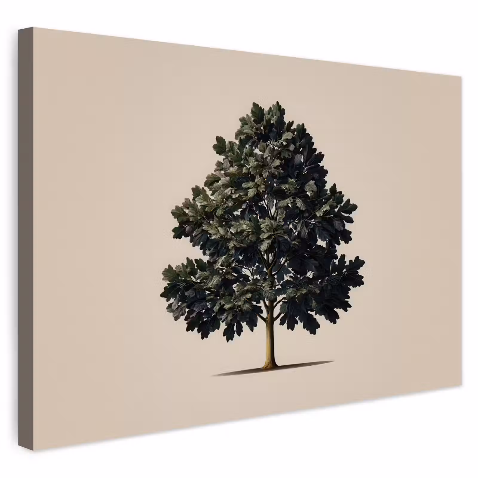 Buiten canvas - Eikenboom - Schaduw - Egaal — 1