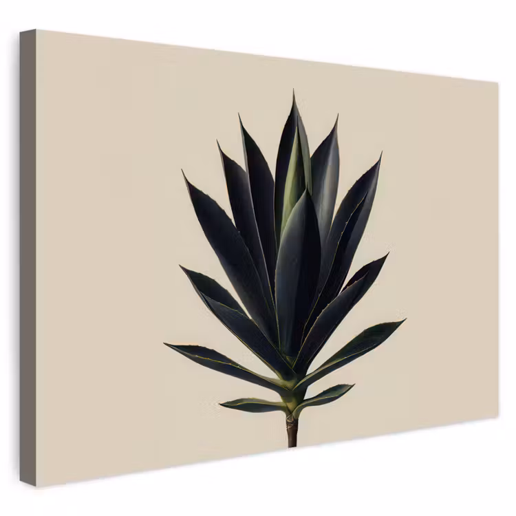 Buiten canvas - Agaveplant - Symmetrisch - Groen — 1
