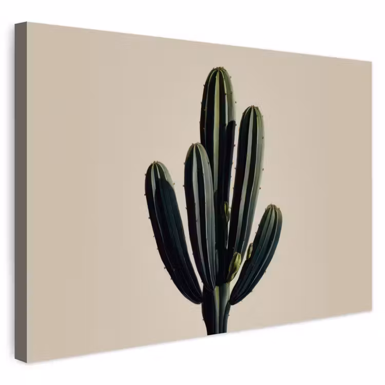 Buiten canvas - Cactus - Subtiel - Groen — 1