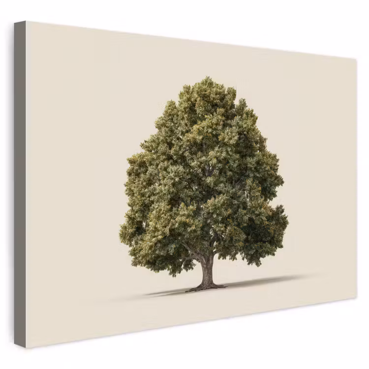 Buiten canvas - Eikenboom - Groen - Lichte achtergrond — 1