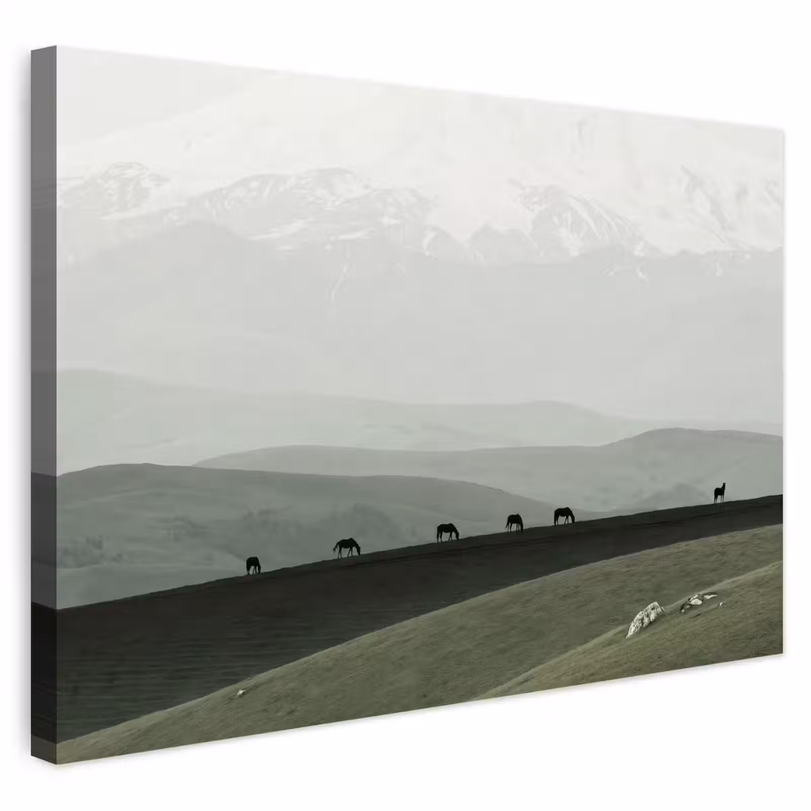 Buiten canvas - Grijs - Berg - Paarden — 1