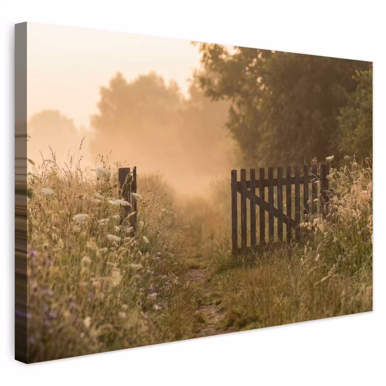 Buiten canvas - Hek - Natuur - Mist - Veld — 1