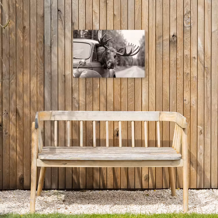 Buiten canvas - Eland - Auto - Gewei - Zwart - Wit — 3