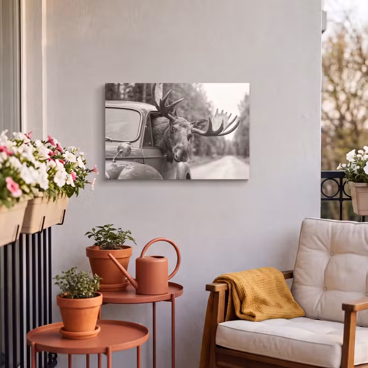Buiten canvas - Eland - Auto - Gewei - Zwart - Wit — 4