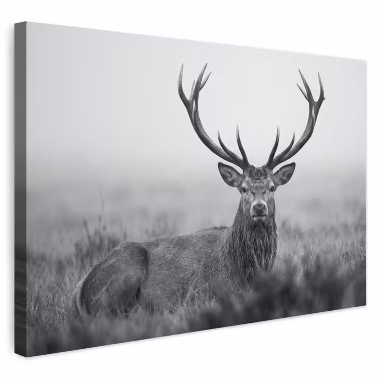 Buiten canvas - Hert - Mistig - Zwart - Wit — 1