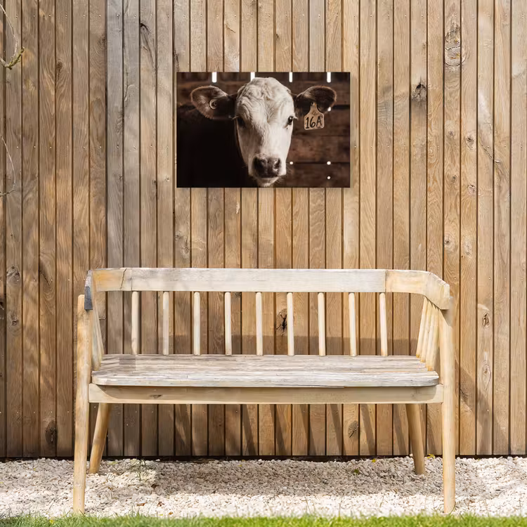 Buiten canvas - Kalf - Oormerk - Houten stal — 3