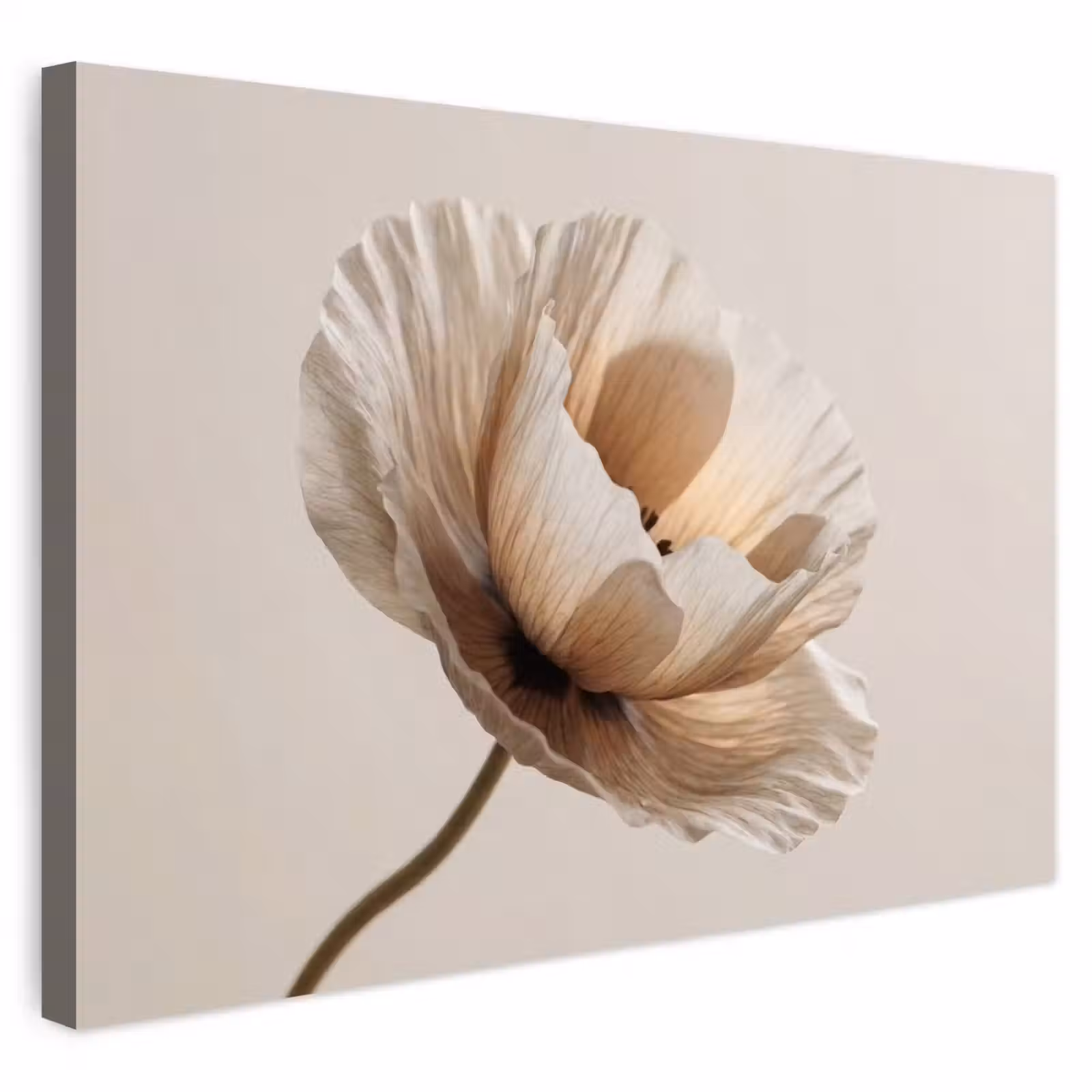 Buiten canvas - Bloem - Beige - Crème — 1
