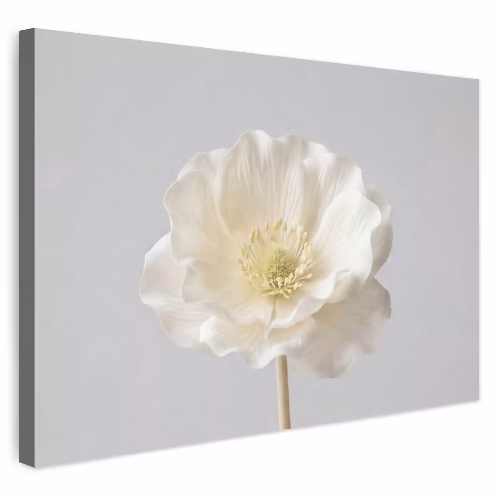 Buiten canvas - Bloem - Minimalistisch -Wit — 1
