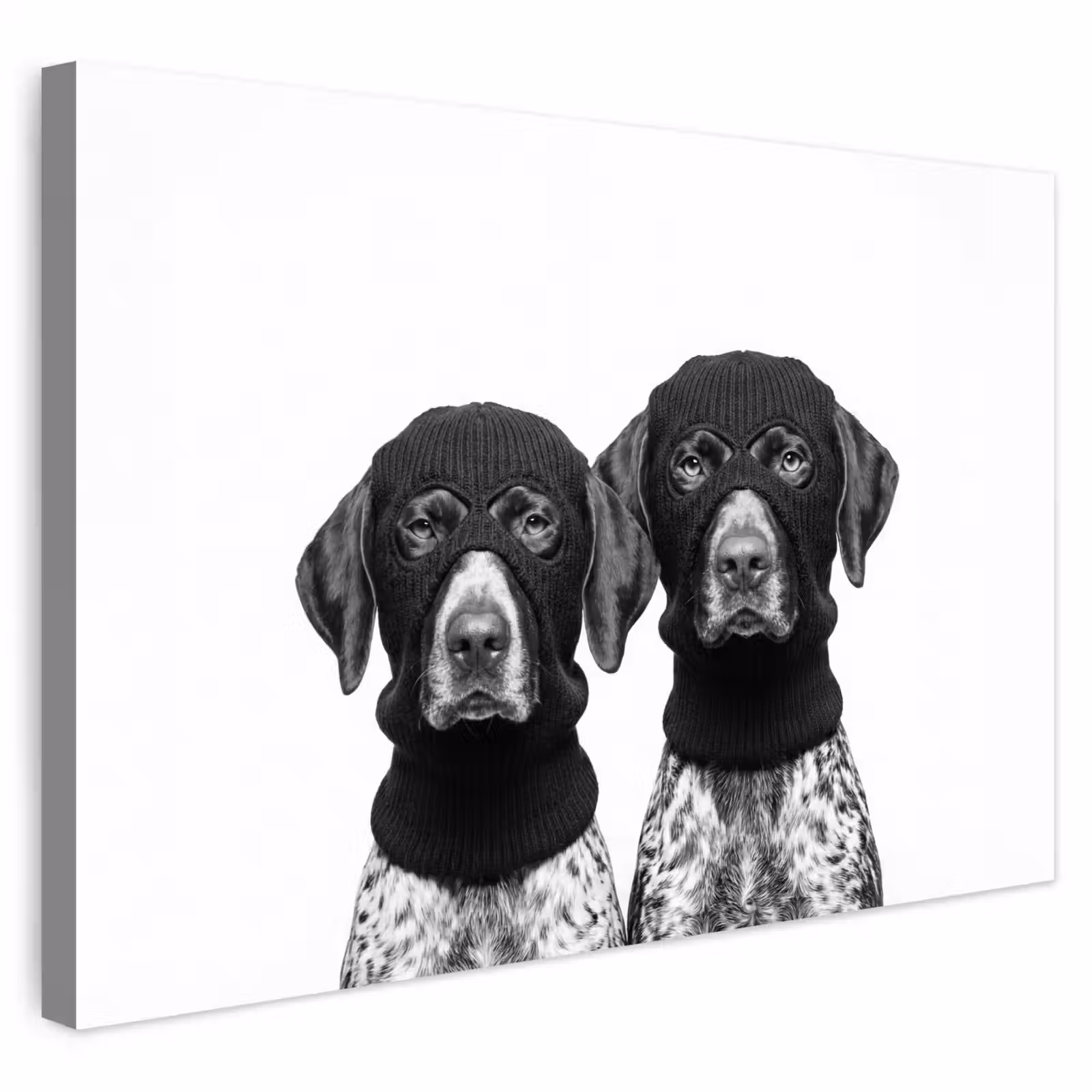 Buiten canvas - Honden - Bivakmuts - Zwart - wit — 1