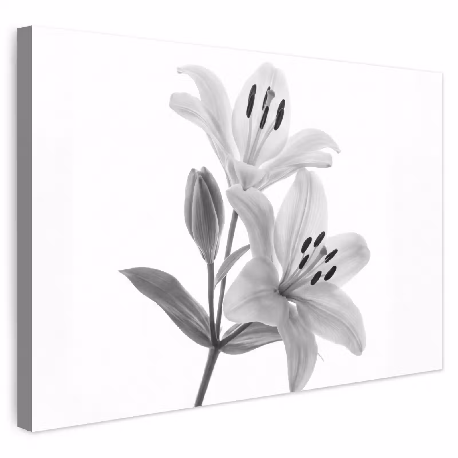 Buiten canvas - Lelies - Elegant - Zwart - Wit — 1