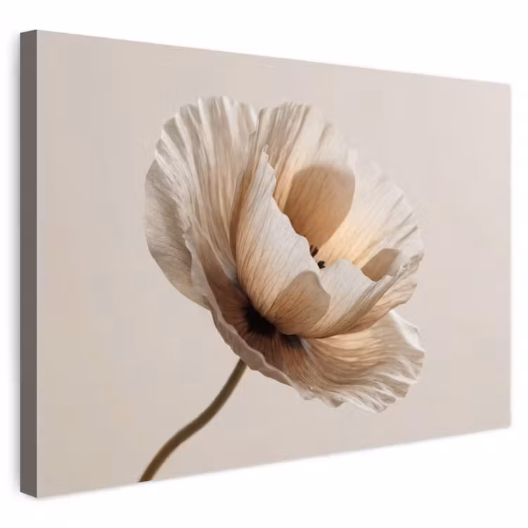 Buiten canvas - Bloem - Beige - Crème — 1