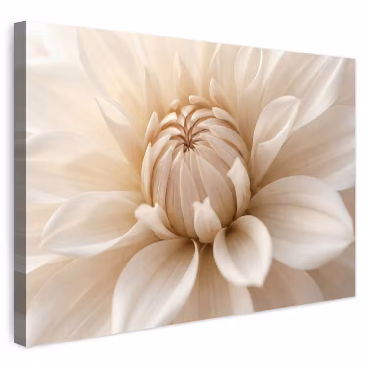 Buiten canvas - Bloem - Dahlia - Wit — 1
