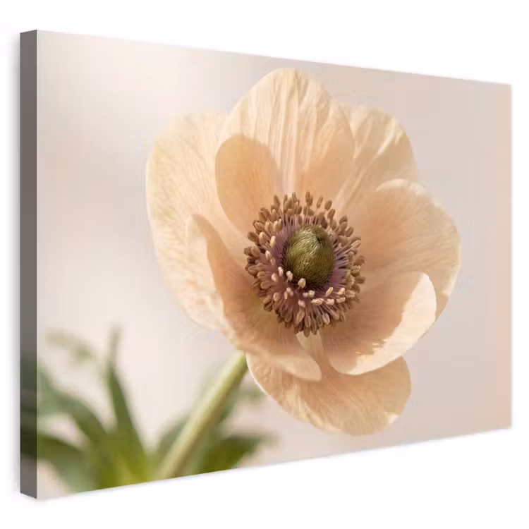 Buiten canvas - Bloem - Minimalistisch - Groen — 1