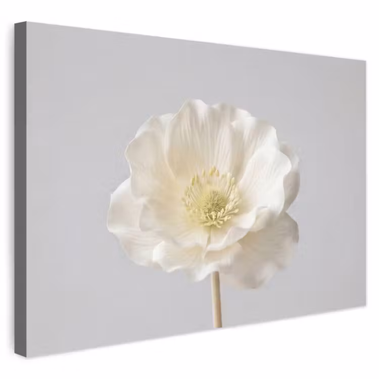 Buiten canvas - Bloem - Minimalistisch -Wit — 1