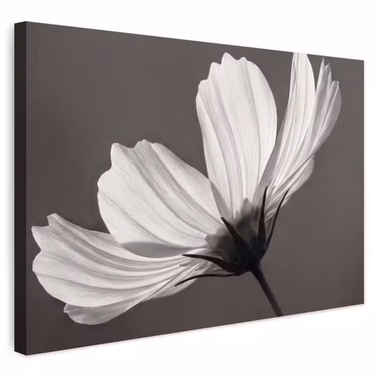 Buiten canvas - Bloem - Minimalistisch - Zwart - Wit — 1